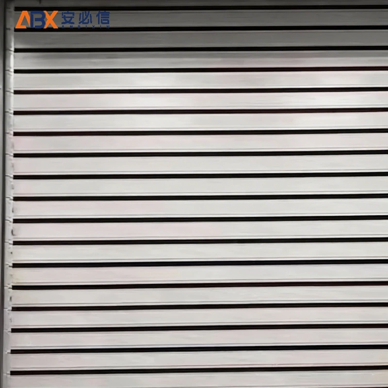 Turbo Hard Fast Industrial Door | ABX Sectional Overhead Door